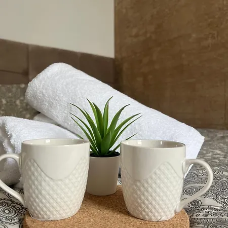 Rustic Luxury Drina Drlace Villa